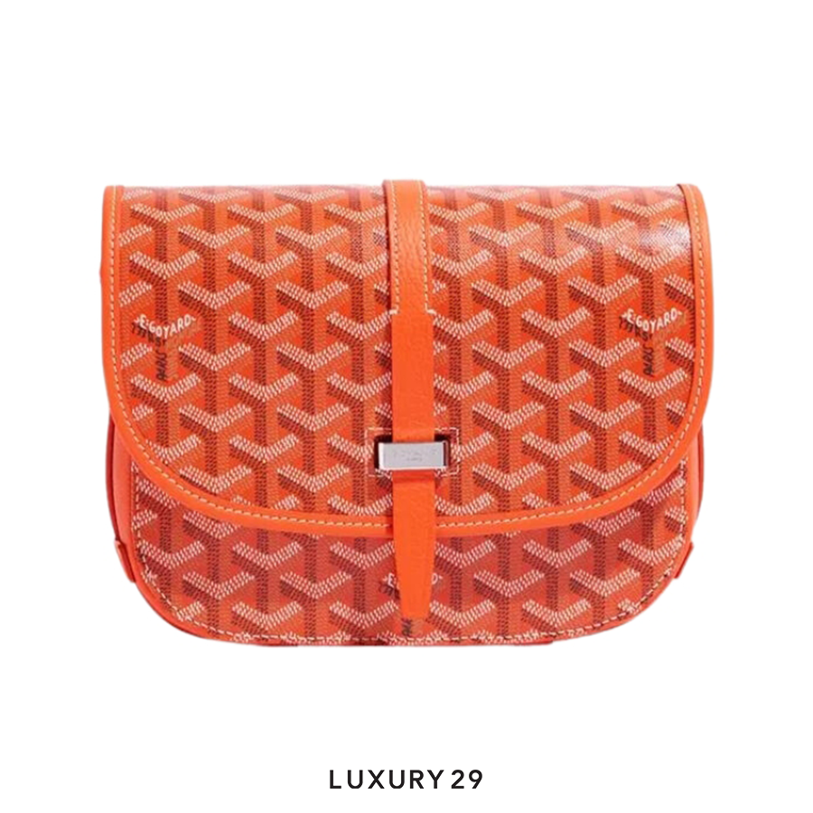 Goyard Belvedere PM Bag Orange