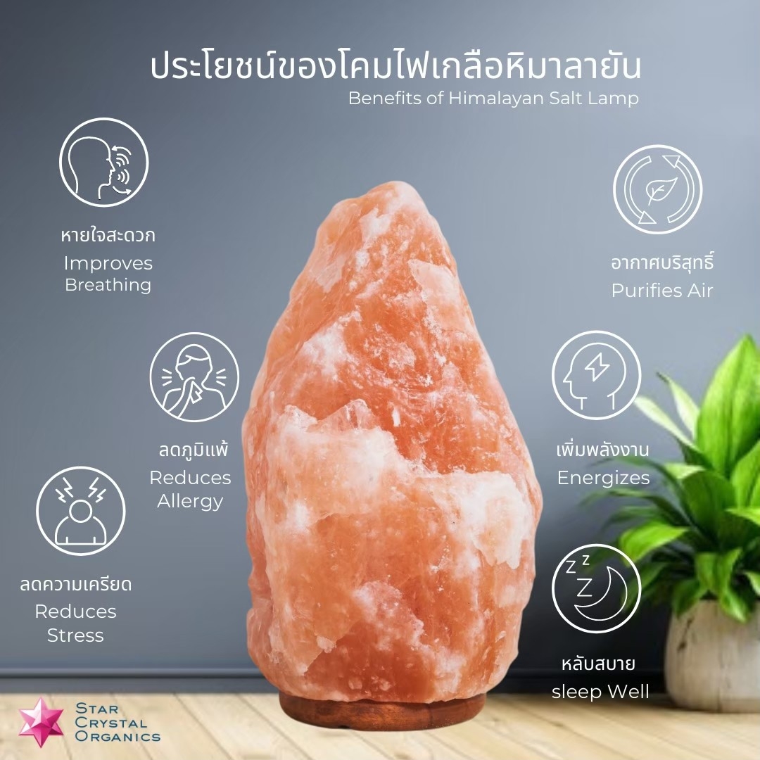 SCS Himalayan Salt LAMP 0034 - 5kg.