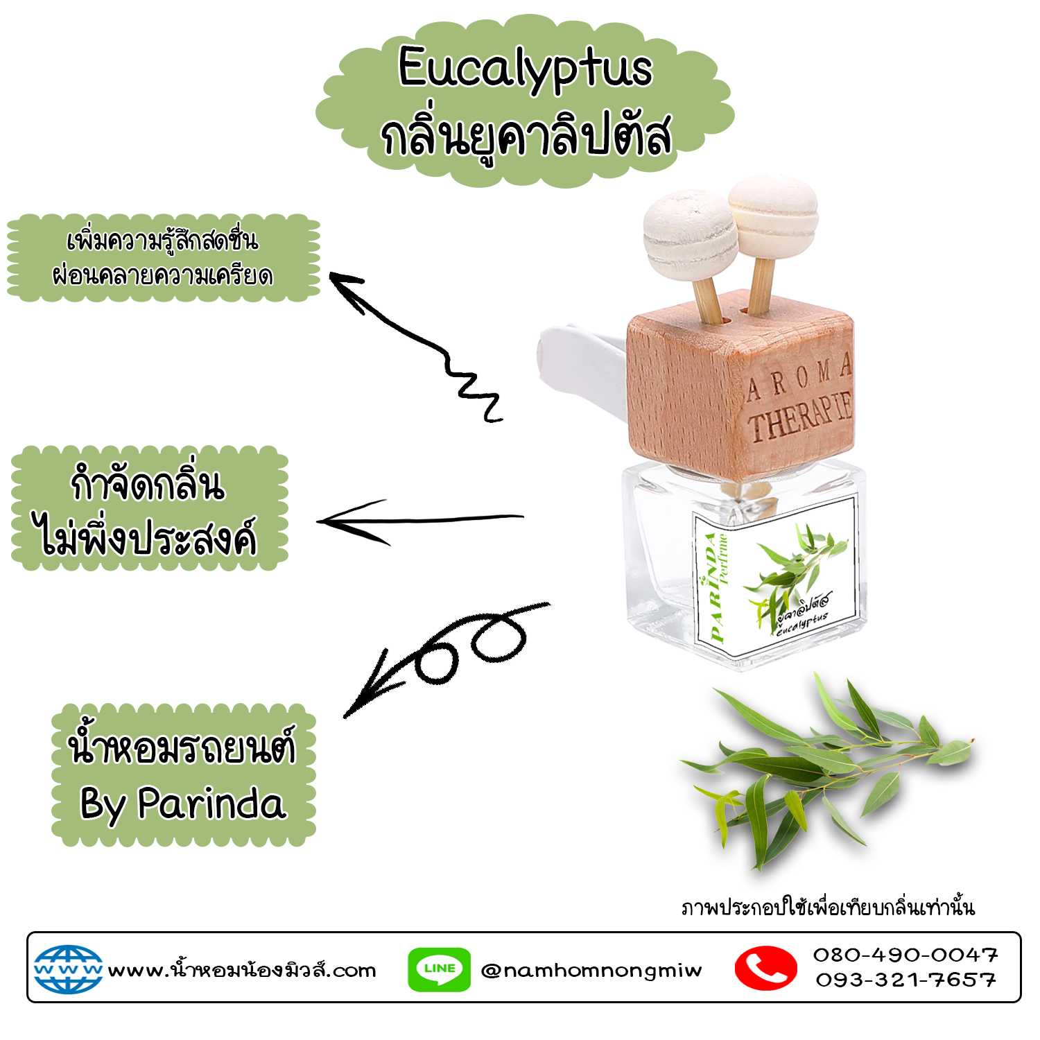 น้ำหอมในรถยนต์(แบบเสียบ) กลิ่น ยูคาลิปตัส